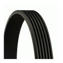 Correa trapecial poli V ContiTech 6 PK 1185