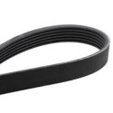Correa trapecial poli V ContiTech 6 PK 1538