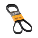 Correa trapecial poli V ContiTech 5 PK 1815