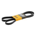 Correa trapecial poli V ContiTech 6 PK 1642