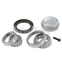 Juego de cojinete de rueda SNR R151.36S