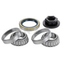 Juego de cojinete de rueda SNR R152.64