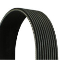 Correa trapecial poli V CONTINENTAL CTAM 10PK1447