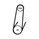 Correa trapecial poli V CONTINENTAL CTAM 4PK592 ELAST