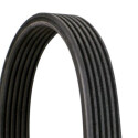 Correa trapecial poli V CONTINENTAL CTAM 6DPK1195
