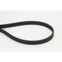 Correa trapecial poli V CONTINENTAL CTAM 6DPK1817