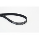 Correa trapecial poli V CONTINENTAL CTAM 6PK1059 ELAST