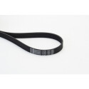 Correa trapecial poli V CONTINENTAL CTAM 6PK1120