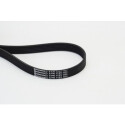 Correa trapecial poli V CONTINENTAL CTAM 6PK1125