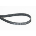 Correa trapecial poli V CONTINENTAL CTAM 6PK1130