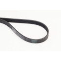 Correa trapecial poli V CONTINENTAL CTAM 6PK1173