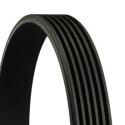 Correa trapecial poli V CONTINENTAL CTAM 6PK1750