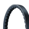 Correa trapezoidal CONTINENTAL CTAM AVX13X1025