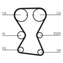 Correa dentada CONTINENTAL CTAM CT1000