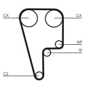 Correa dentada CONTINENTAL CTAM CT1006