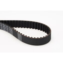 Correa dentada CONTINENTAL CTAM CT1014
