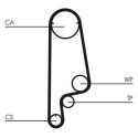 Juego de correas dentadas