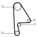 Juego de correas dentadas CONTINENTAL CTAM CT1082K1