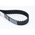 Correa dentada CONTINENTAL CTAM CT1089