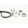 Juego de correas dentadas CONTINENTAL CTAM CT1139K2