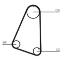 Correa dentada CONTINENTAL CTAM CT504