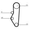 Juego de correas dentadas