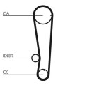 Correa dentada CONTINENTAL CTAM CT715