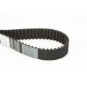 Correa dentada CONTINENTAL CTAM CT723