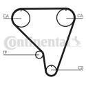 Correa dentada CONTINENTAL CTAM CT793