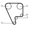 Juego de correas dentadas CONTINENTAL CTAM CT794K1