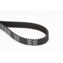 Correa dentada CONTINENTAL CTAM CT827