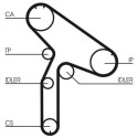 Correa dentada CONTINENTAL CTAM CT853