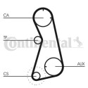 Correa dentada CONTINENTAL CTAM CT872