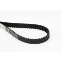 Correa dentada CONTINENTAL CTAM CT873