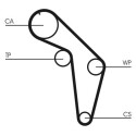 Correa dentada CONTINENTAL CTAM CT926
