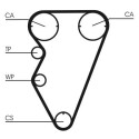 Correa dentada CONTINENTAL CTAM CT929