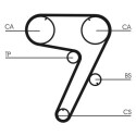 Correa dentada CONTINENTAL CTAM CT931