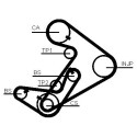 Correa dentada CONTINENTAL CTAM CT938
