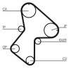 Juego de correas dentadas CONTINENTAL CTAM CT940K1