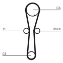 Correa dentada CONTINENTAL CTAM CT954