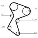 Correa dentada CONTINENTAL CTAM CT966