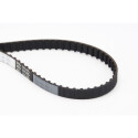 Correa dentada CONTINENTAL CTAM CT973