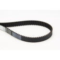 Correa dentada CONTINENTAL CTAM CT975