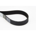 Correa dentada CONTINENTAL CTAM CT989
