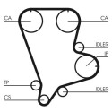 Correa dentada CONTINENTAL CTAM CT993