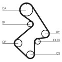 Correa dentada CONTINENTAL CTAM CT998