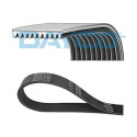 Correa trapecial poli V DAYCO 10PK1448HD
