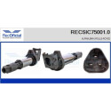 Bobina de encendido RECOFICIAL RECSIC75001.0