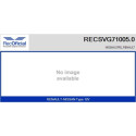 Válvula EGR RECOFICIAL RECSVG71005.0