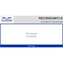 Válvula EGR RECOFICIAL RECSVG74011.0